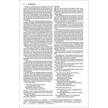 NIV Value Outreach Bible for Easy Sharing and Travel