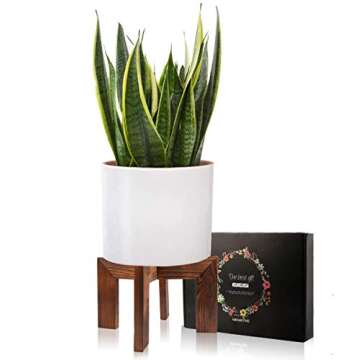Gendral Forwepup Wood Plant Stand for Indoor Plants