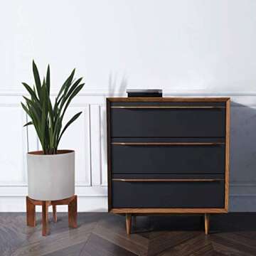 Gendral Forwepup Wood Plant Stand for Indoor Plants