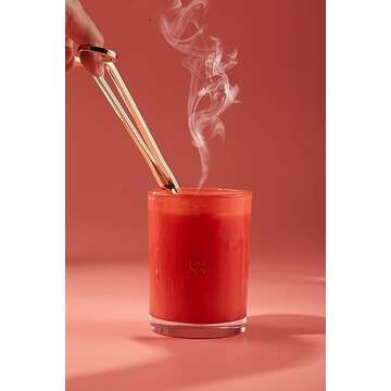 ESNA HOME Luxury Scented Candle Set - Aromatherapy & Holiday Scents - Elegant Gift Set for Women & Candle Lovers