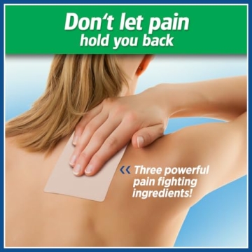 Salonpas Pain Relieving Patch for Fast Relief