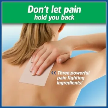 Salonpas Pain Relieving Patch for Fast Relief