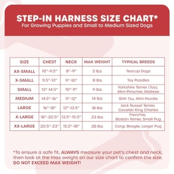 No Pull Dog Harness with Padded Mesh for Small Dogs