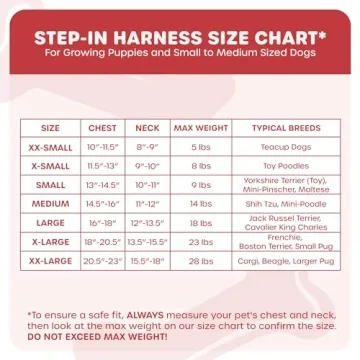 No Pull Dog Harness with Padded Mesh for Small Dogs