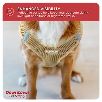 No Pull Dog Harness with Padded Mesh for Small Dogs