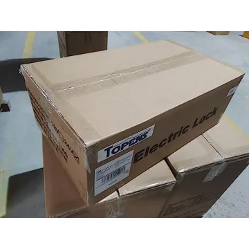 Automatic Electric Gate Lock for DC 24V Swing Gates