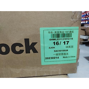 Automatic Electric Gate Lock for DC 24V Swing Gates