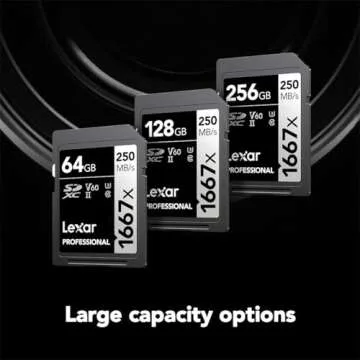 Lexar 256GB Professional 1667x SDXC Memory Card, UHS-II, C10, U3, V60, Full-HD & 4K Video, Up To 250MB/s Read, for Professional Photographer, Videographer, Enthusiast (LSD256CBNA1667)