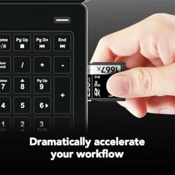 Lexar 256GB Professional 1667x SDXC Memory Card, UHS-II, C10, U3, V60, Full-HD & 4K Video, Up To 250MB/s Read, for Professional Photographer, Videographer, Enthusiast (LSD256CBNA1667)