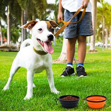 COLLAPSIBLE 2-Pack Small Dog Travel Bowl, Collapsible Bowls for Dogs, Foldable Cat Water Bowl, Portable Pet Feeding Watering Traveling Dish (Black & Orange)