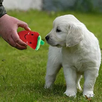 UEETEK Plush Toys: 4 Squeaky Chewing Toys for Pets