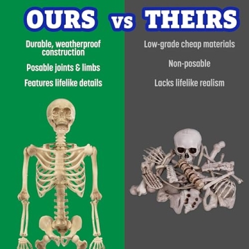 Life Size Human Skeleton for Anatomy Study with Joints