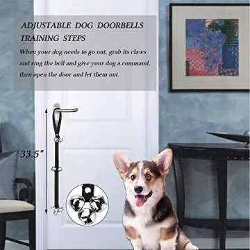 D-BUY 4-in-1 Dog Training Set for Effective Pet Training