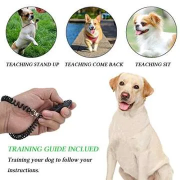 D-BUY 4-in-1 Dog Training Set for Effective Pet Training
