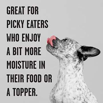 BIXBI Rawbble Grain-Free Lamb Wet Dog Food - Pack of 12