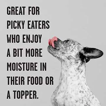 BIXBI Rawbble Grain-Free Lamb Wet Dog Food - Pack of 12