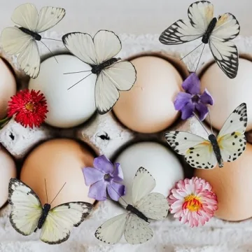 Berfutall 3D Feather Butterfly Decorations Set of 12