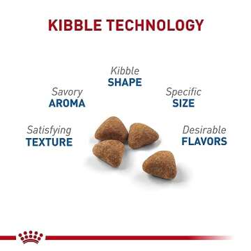 Royal Canin Indoor Adult Dry Cat Food, 15 lb bag