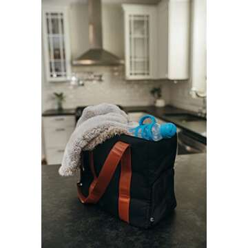 Dr. Brown's Milestones Narrow Sippy Straw Bottle, Spill-Proof with 100% Silicone Handles and Weighted Straw, 8 oz/250 mL, Blue, 6m+