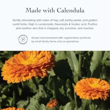 evanhealy Calming Blue Chamomile Moisturizer for Sensitive Skin