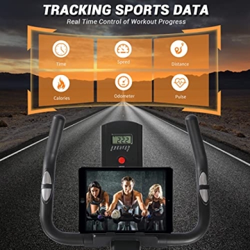 DMASUN Silent Magnetic Exercise Bike for Home Gym