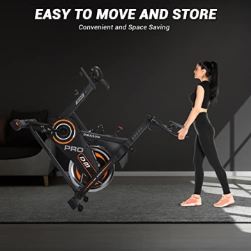 DMASUN Silent Magnetic Exercise Bike for Home Gym
