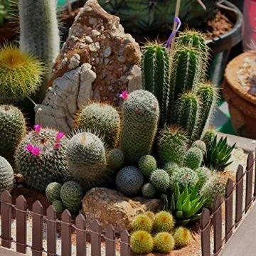 Miniature Fairy Garden Fence 40 Inch Brown White Outdoor Decor