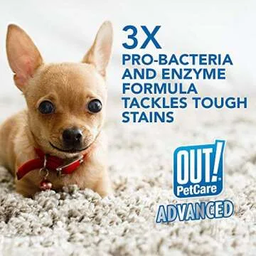 OUT! Advanced Stain and Odor Remover for Pets 32 Oz