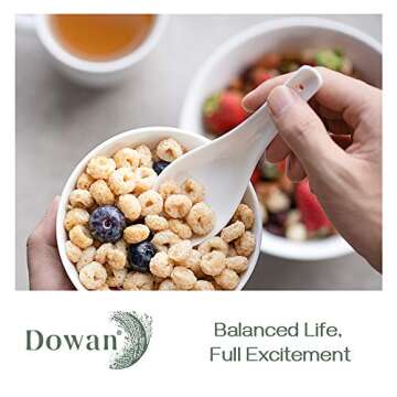 DOWAN 5.3" Asian Soup Spoons Set of 12 - Elegant Ceramic Spoons for Every Dish