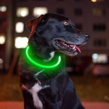 BSEEN LED Dog Collar - USB Rechargeable & Safe for Pets