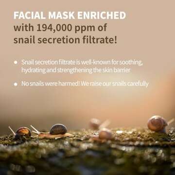 BENTON Snail Bee High Content Mask Pack (20g / 10 Sheets) - Snail Mucin Face Mask With Bee Venom | Korean Skin Care Face Mask Sheets For Moisturizing, Soothing and Nourishing (2022 Package)