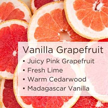 Lavanila Vanilla Grapefruit Perfume - Clean Citrus Rollerball