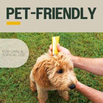 Pur O3 Fully Ozonated Sunflower Oil - Pure, Natural, Organic Ozonated Oil - Sunflower Oil Skin Care from Oxygenated, Ozonized Sunflower Oil - Ozone Oil in a Glass Jar, 2 oz