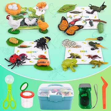 Life Cycle Learning & Education Toys, Montessori Toys Animal Toy Figurines for Frog, Butterfly, Chic...