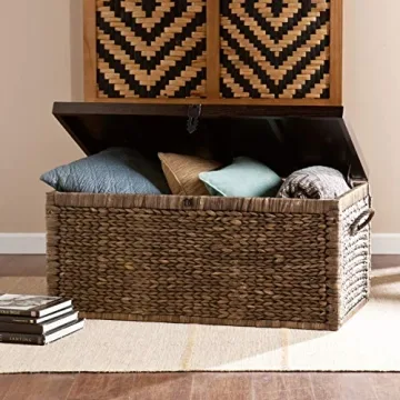 SEI Furniture Stylish Storage Trunk for Home Essentials