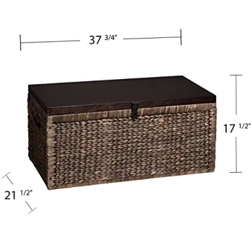 SEI Furniture Stylish Storage Trunk for Home Essentials