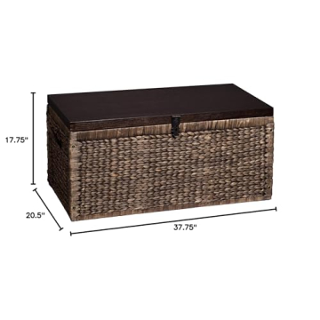 SEI Furniture Stylish Storage Trunk for Home Essentials