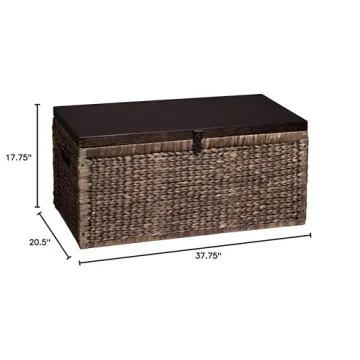 SEI Furniture Stylish Storage Trunk for Home Essentials