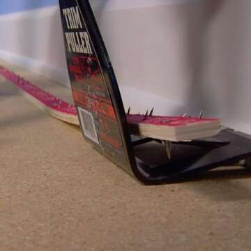 Zenith by Danco Trim Puller ZN700001, Pry Bar, Wrecking Bar, Crowbar Multi-Tool for Baseboard, Molding, Siding, Trim Removal, Remodeling and Demolition