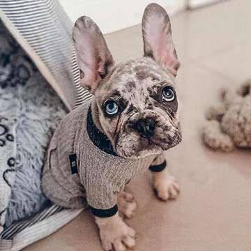 Fitwarm Knitted Dog Pajamas, Dog Clothes for Small Dogs Girl Boy, Pet Onesie with Feet, Doggy Outfit...