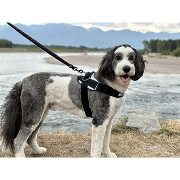 ShawnCo No-Pull Dog Harness - Adjustable & Reflective