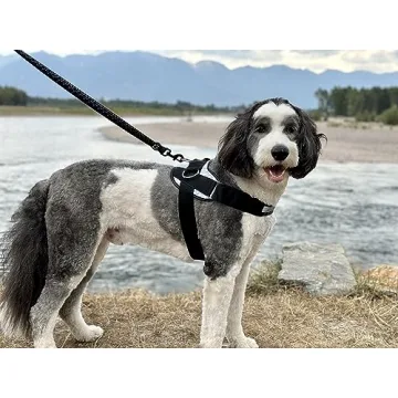 ShawnCo No-Pull Dog Harness - Adjustable & Reflective