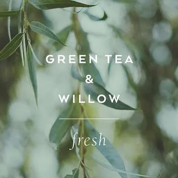 Archive Journey Within Bubble Bath for Adults, 33.8 fl. oz. – Green Tea & Willow Fragrance – Blend of Natural Oils, Refine Bath Bubbles for Women or Men, Adult Bubble Bath