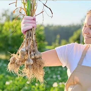 COOLJOB Women's Gardening Gloves - Breathable & Durable
