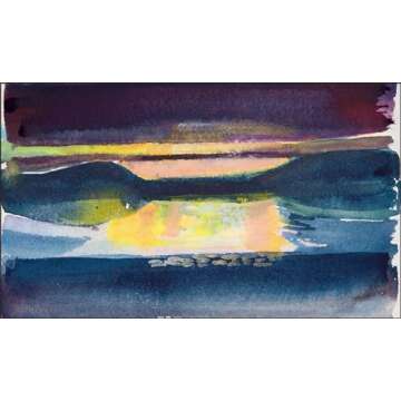 Barbara Rae: Arctic Sketchbooks (The RA Sketchbooks)