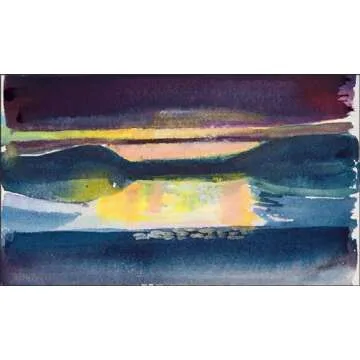 Barbara Rae: Arctic Sketchbooks (The RA Sketchbooks)