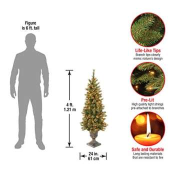National Tree Company Pre-lit Artificial Christmas Tree For Entrances| Flocked with Cones and Gold Berries | Includes Pre-strung White Lights | Glittery Gold Pine - 4ft