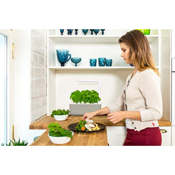 Click & Grow Smart Garden | Indoor Herb Gardening Made Easy