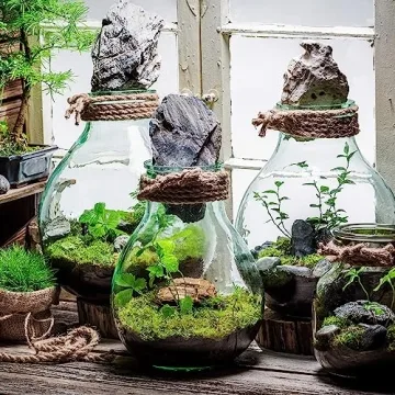 Natural 8 Quarts Potting Soil Mix for Terrariums