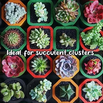 Natural 8 Quarts Potting Soil Mix for Terrariums